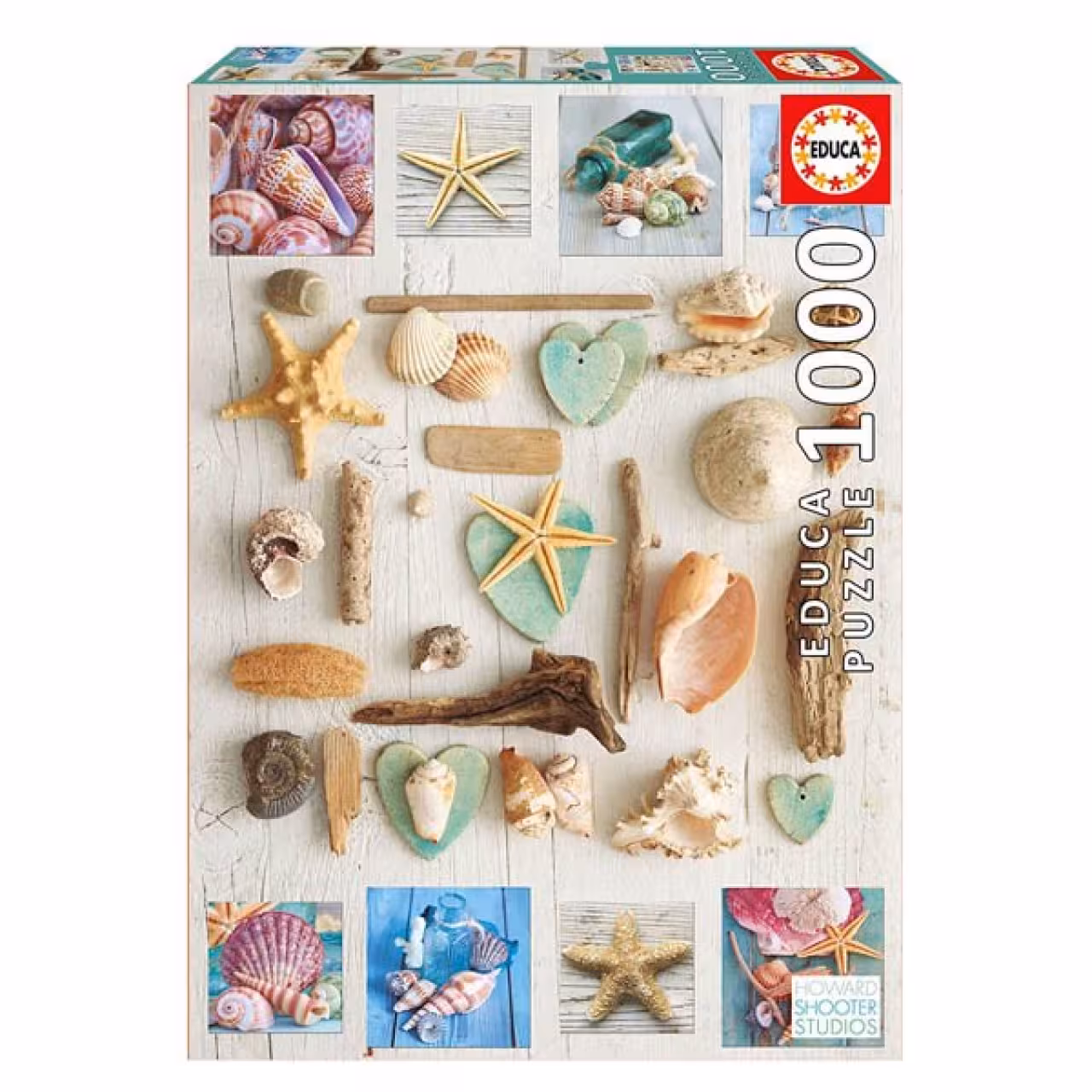 پازل 1000 تکه ادوکا مدل SEA SHELLS COLLAGE