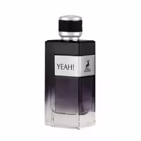 ادکلن یاه الحمبرا Alhambra Yeah (ایـو سن لـورن وای Yves-Saint-Laurent Y) نقره‌ای