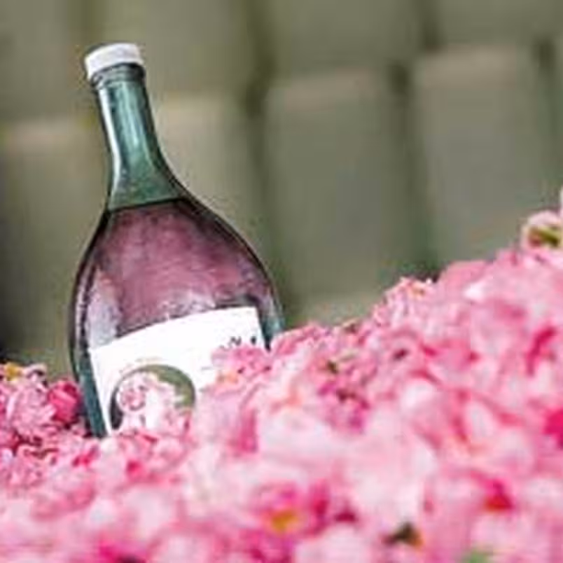 گلاب دوآتیشه اعلا