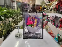 باکس طلقی پاتریک و گوی نقره ای