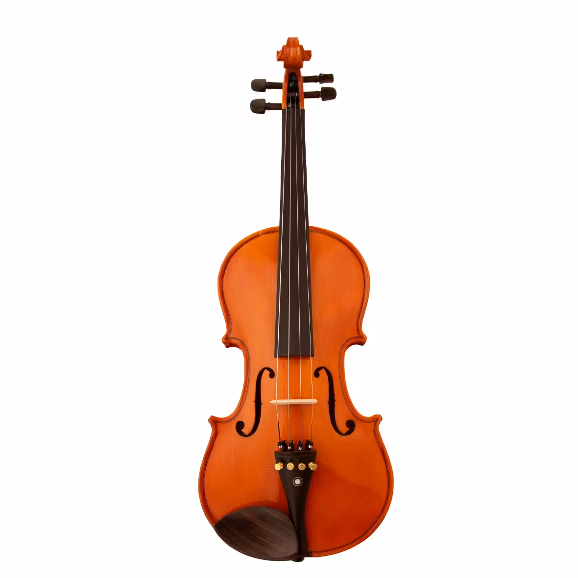 ویولن ریچاردبونل مدل 101 سایز 4/4