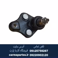 سیبک طبق شاهین