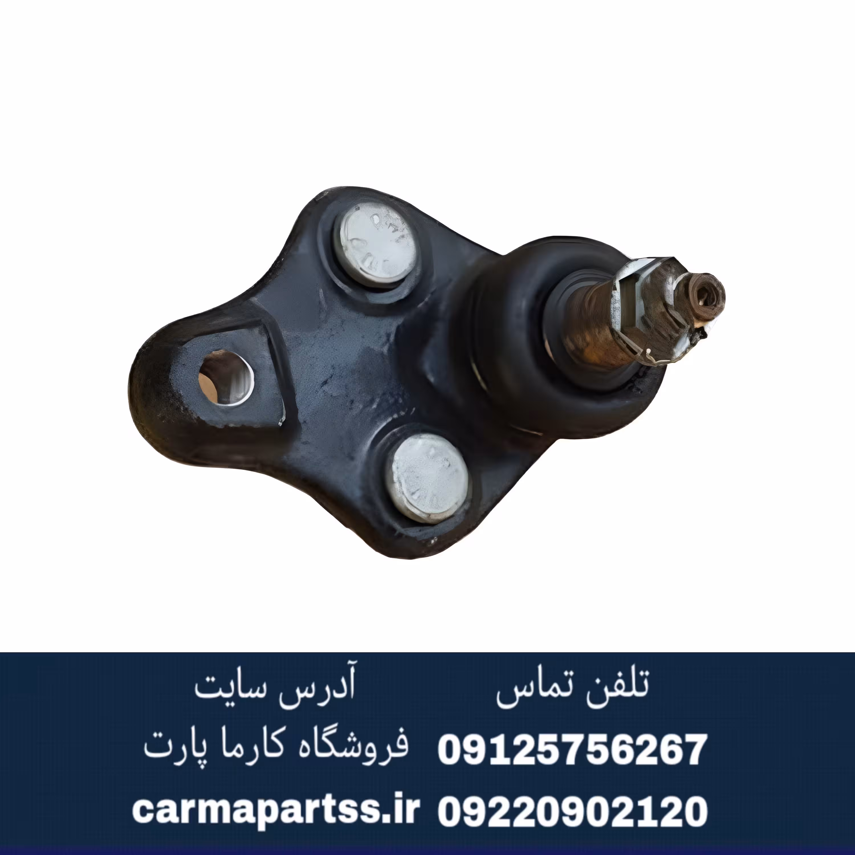 سیبک طبق شاهین