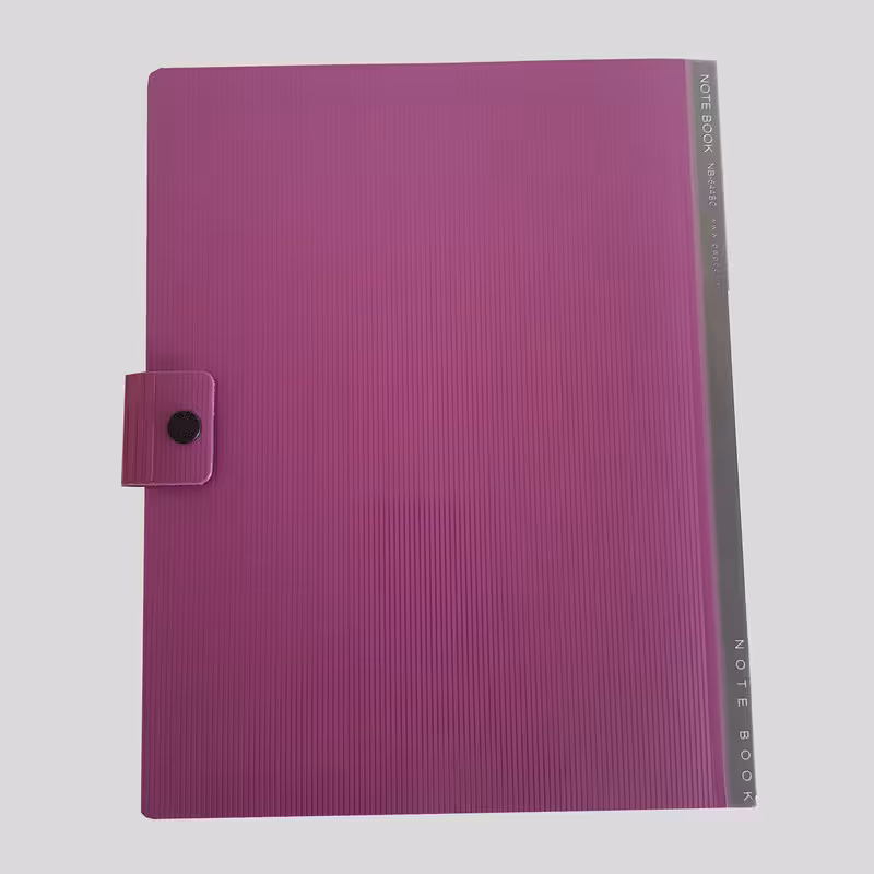 دفتر کلاسوری 100 برگ پاپکو مدل NB-644BC | چاوه