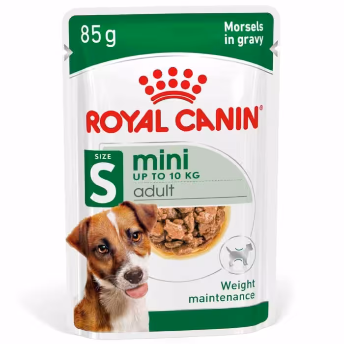 پوچ سگ بالغ نژاد کوچک رویال کنین