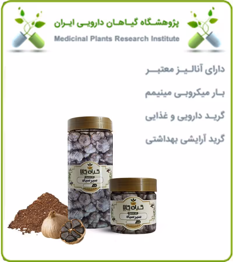 سیر سیاه خشک یا پودری بسته بندی