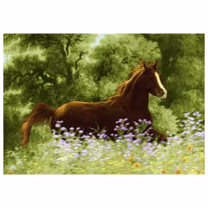 حیوانات مدل اسب کد 26005
