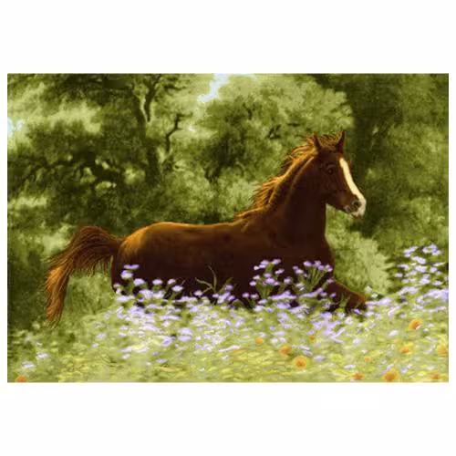 حیوانات مدل اسب کد 26005
