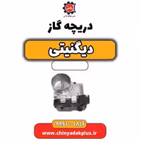 دریچه گاز دیگنیتی