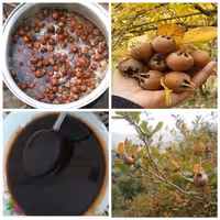 رب ازگیل ارگانیک مازند مزرعه(200گرمی)