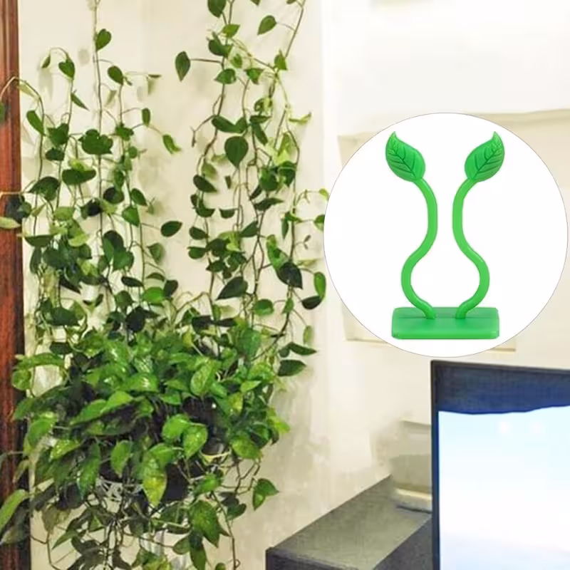 گیره نگهدارنده گل پتوس بسته 10 عددی | amazonchi