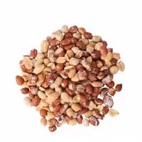 بادام زمینی شور خارجی ممتاز فله