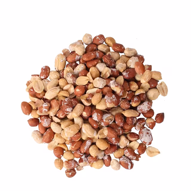 بادام زمینی شور خارجی ممتاز فله