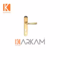 دستگيره سوييچی شارن BAIR-PVD0084 طلايی باتيس