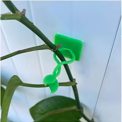 قیم بند مدل برگی بسته 30 عددی