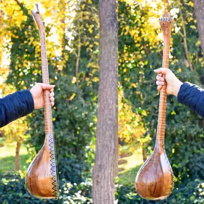 سه تار ایران ساز مدل شمع و پروانه