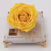 گل رز جاودان مدل Yellow162
