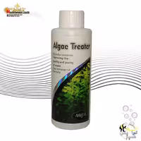 ضد خزه و جلبک 100 میل آبزی پروران