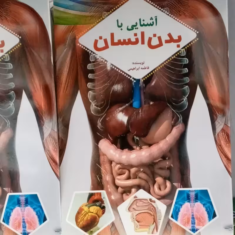 آشنایی با بدن انسان آناتومی