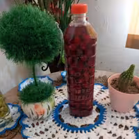 ترشی البالو با سرکه انجیر خانگی تهیه شده