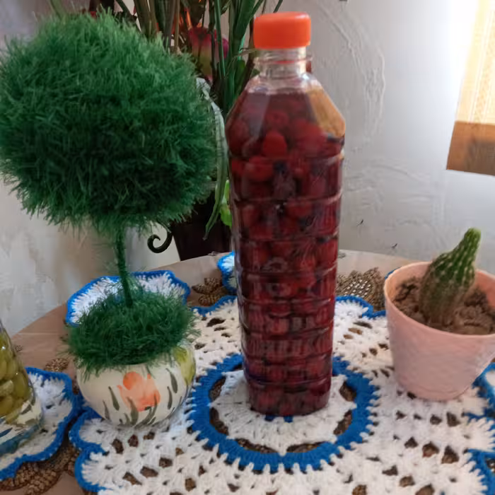 ترشی البالو با سرکه انجیر خانگی تهیه شده