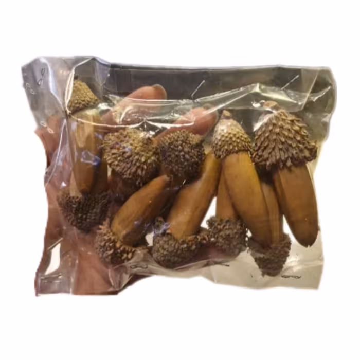 بلوط خشک شده