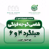 شاسی فلزی نگهدارنده بوته گوجه فرنگی، کد 4
