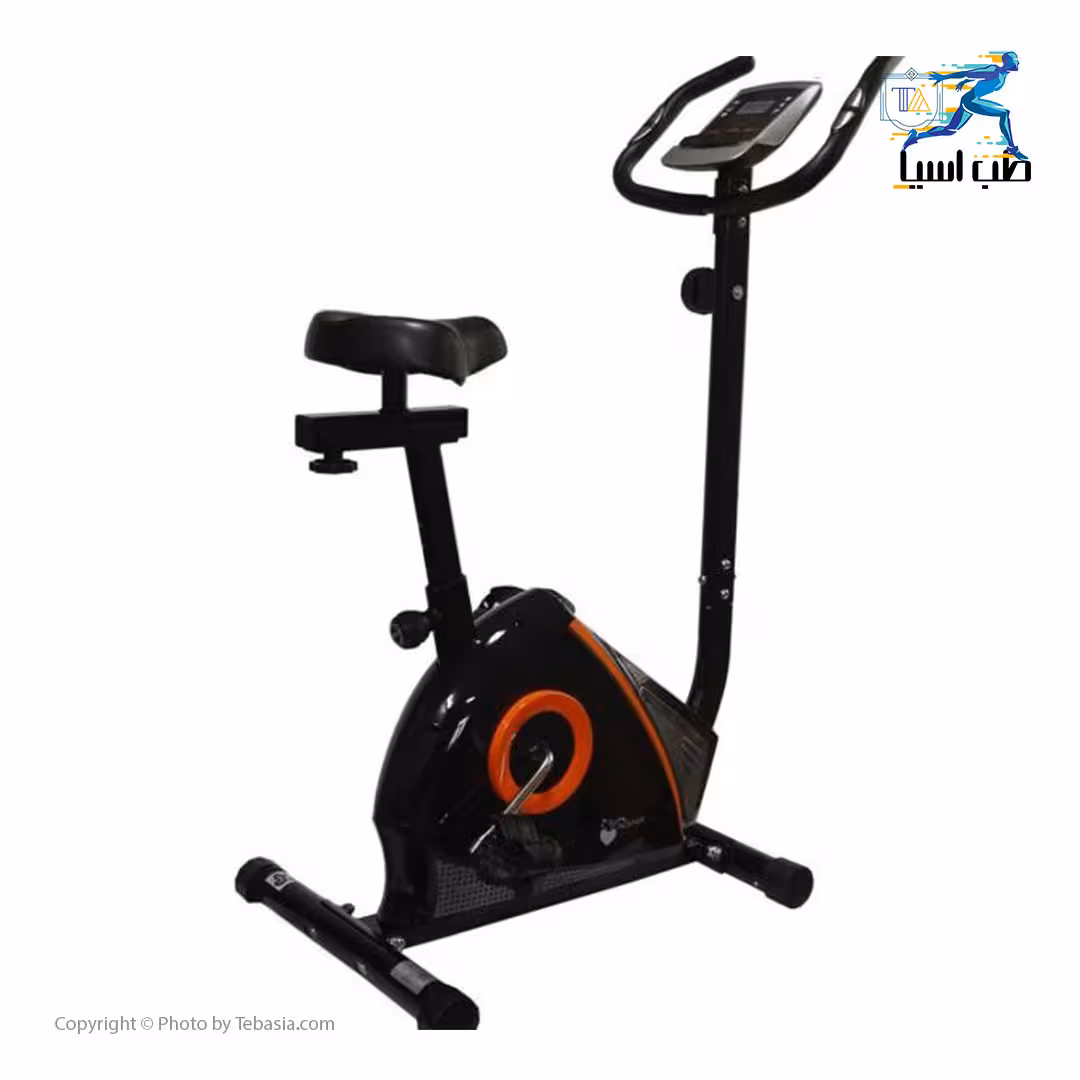 دوچرخه ثابت پاندا مدل B3130