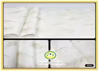کاغذ دیواری آنجل مدرن پتینه طلایی
