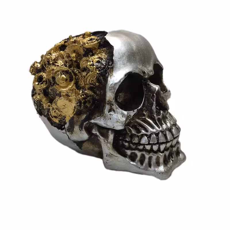 مجسمه مدل اسکلت سر مدل چرخ دنده دار