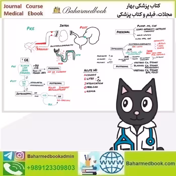 OnlineMedEd WhiteBoard Snapshot for Clinical Science USMLE