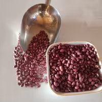 لوبیا قرمز دست چین امسالی خوش پخت درجه یک کاملا پاک شده مناسب برای خورشت 