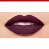 رژ لب مایع بورژوآ مدل velvet شماره 25