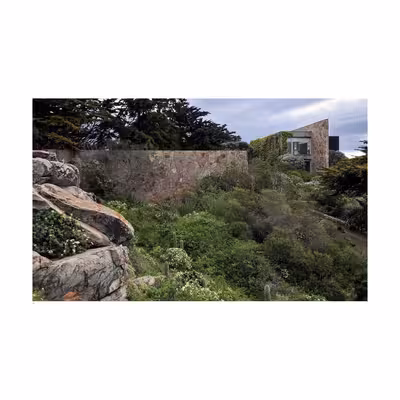 کتاب Juan Grimm اثر Mitzi Rojas انتشارات تیمز و هادسون