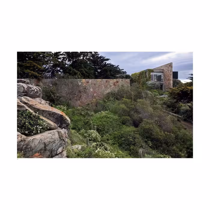 کتاب Juan Grimm اثر Mitzi Rojas انتشارات تیمز و هادسون