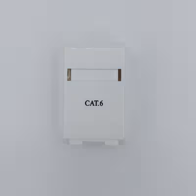  باکس کیستون شبکه  CAT6 مدل شاتردار بسته 10 عددی