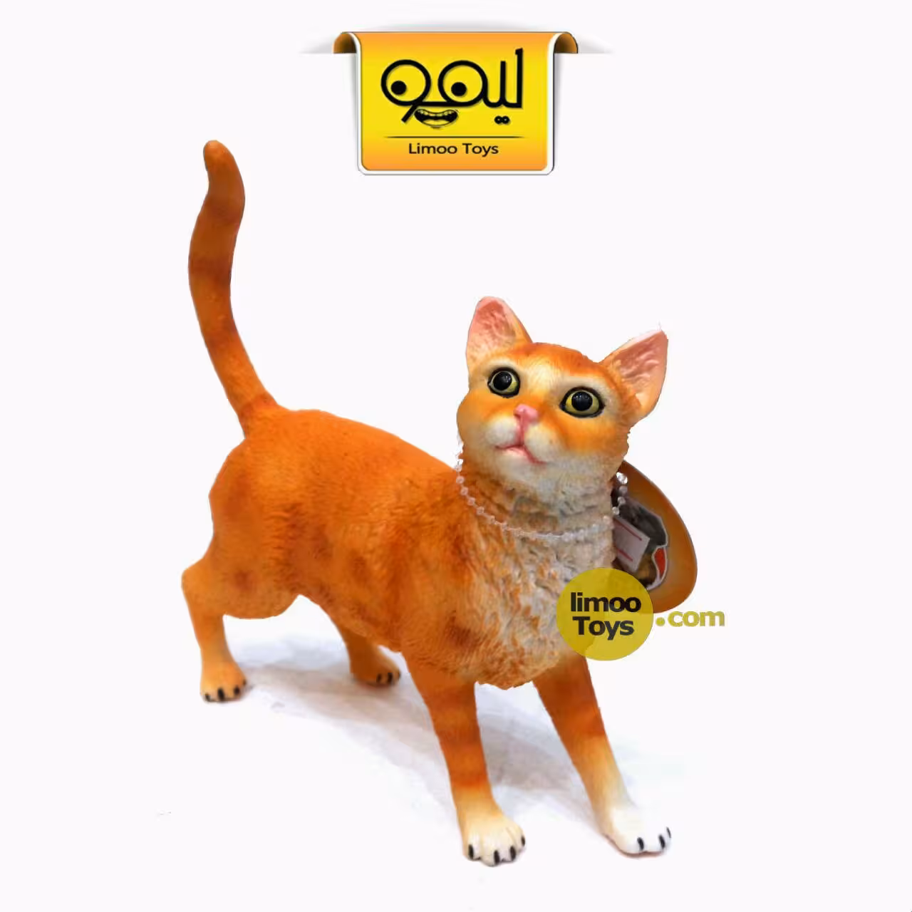 ماکت گربه Abyssinian