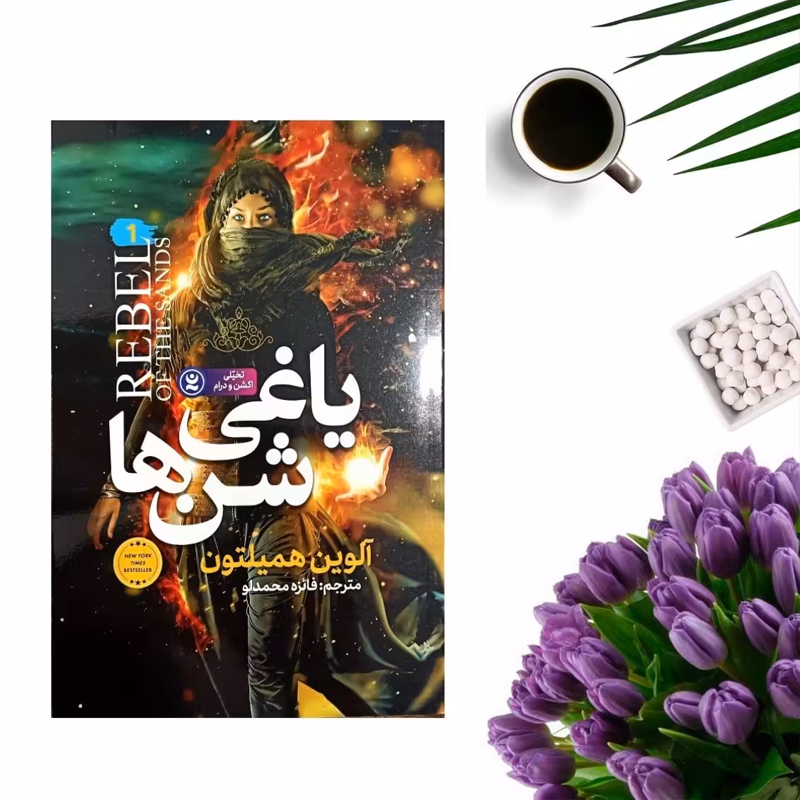 کتاب یاغی شن ها اثر آلوین همیلتون انتشارات نگاه آشنا