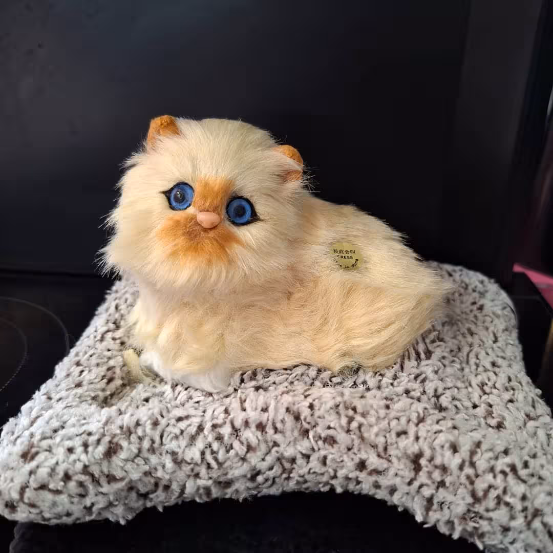 عروسک گربه خوابیده