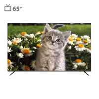 قیمت تلویزیون هوشمند دوو 65 اینچ مدل DSL-65SU1870