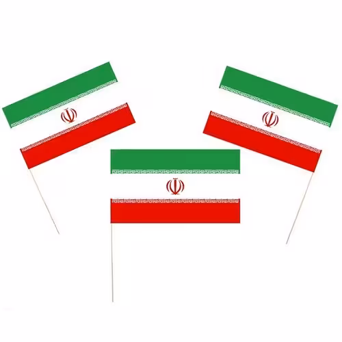 پرچم ایران کاغذی دسته چوبی بسته 50 عددی