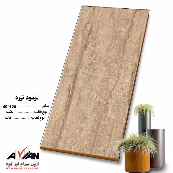 سرامیک ترمود تیره 120*40 آرین سرام