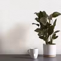 کاغذ دیواری کربن طرح جودون کرم کد 10062