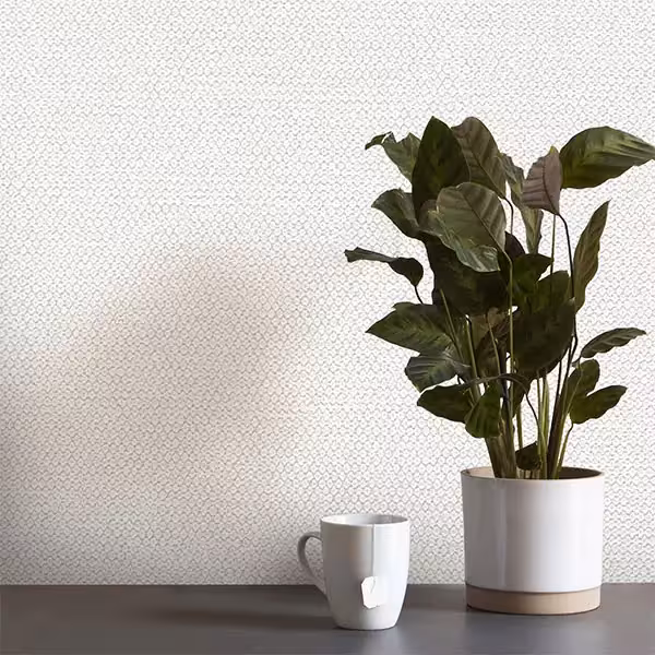 کاغذ دیواری کربن طرح جودون کرم کد 10062