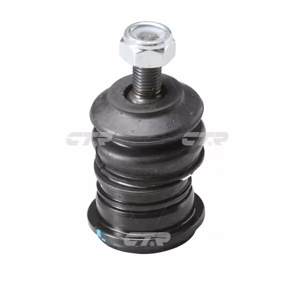 سیبک طبق بالا سوناتا NF، آزرا و اپیروس