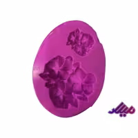 قالب سیلیکونی ادریسی دوتایی قطر 3 و 6 سانت