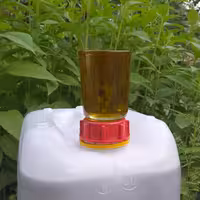 روغن زیتون خالص(20لیتری) بکر پرس گرم بابو تازه امساله با تضمین قیمت و ضمانت کیفیت از باغدار خرید کنید روغن زیتون خالص 