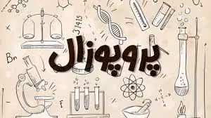 پروپوزال - چالش ها و فرصت های آموزش پیش دبستانی در مناطق دو زبانه