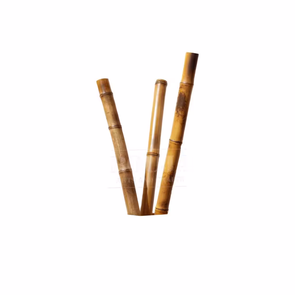 چوب بامبو نژاد گرین بامبو آفریقا قطر 5 کد BaMeC2