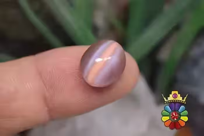 چشم گربه چینی